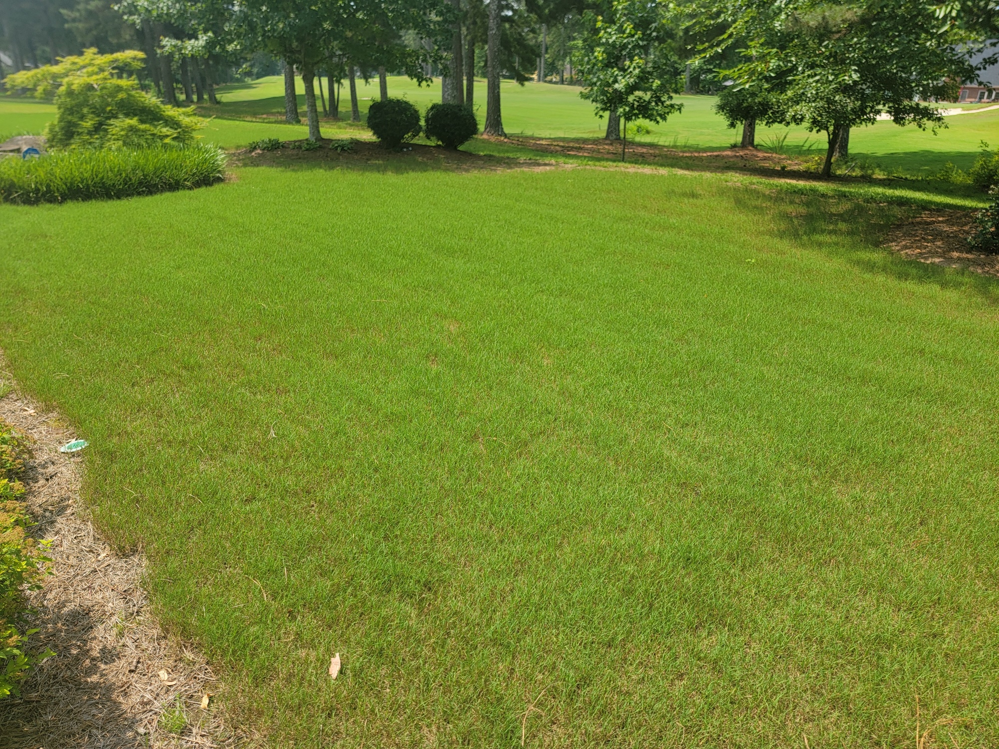 Landscaping Kennesaw, GA